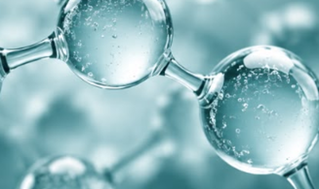 Essential Joint Nutrition - Mucopolysaccharides MPS matrix